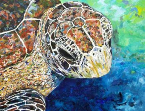 Sea Turtle Tuesday: Bling