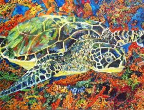 Sea Turtle Tuesday: Tangerine Dream