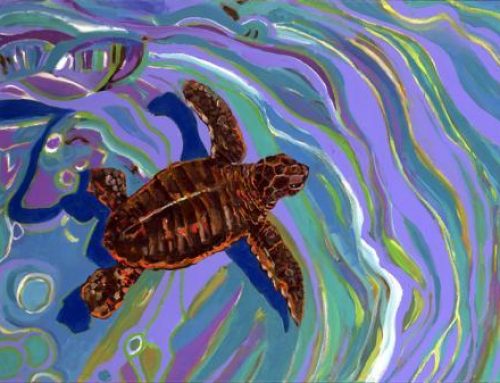 Sea Turtle Tuesday: Little Turtle Bambinos. Awwwwww