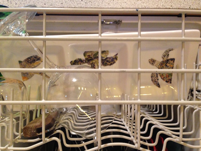 Sea Turtle Trifecta - Image 2