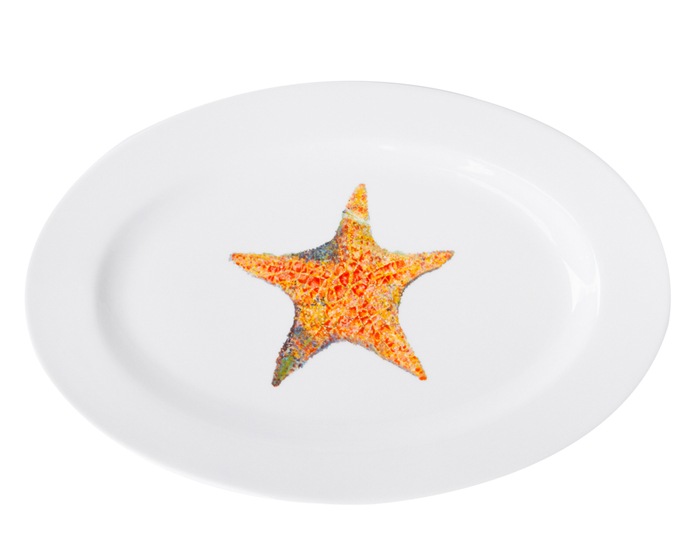 A Star is Born Oval Platter