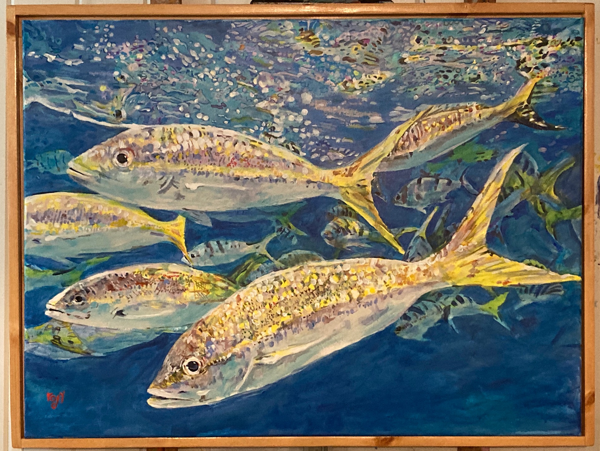 Yellowtail Team Tag - Image 2