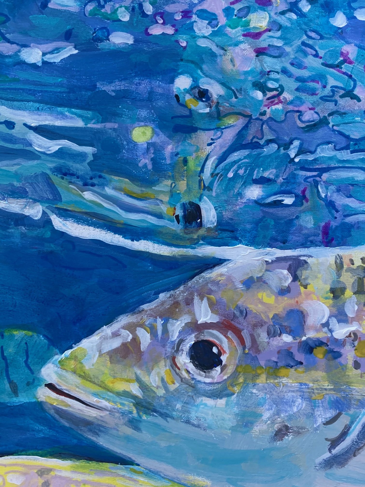 Yellowtail Team Tag - Image 6