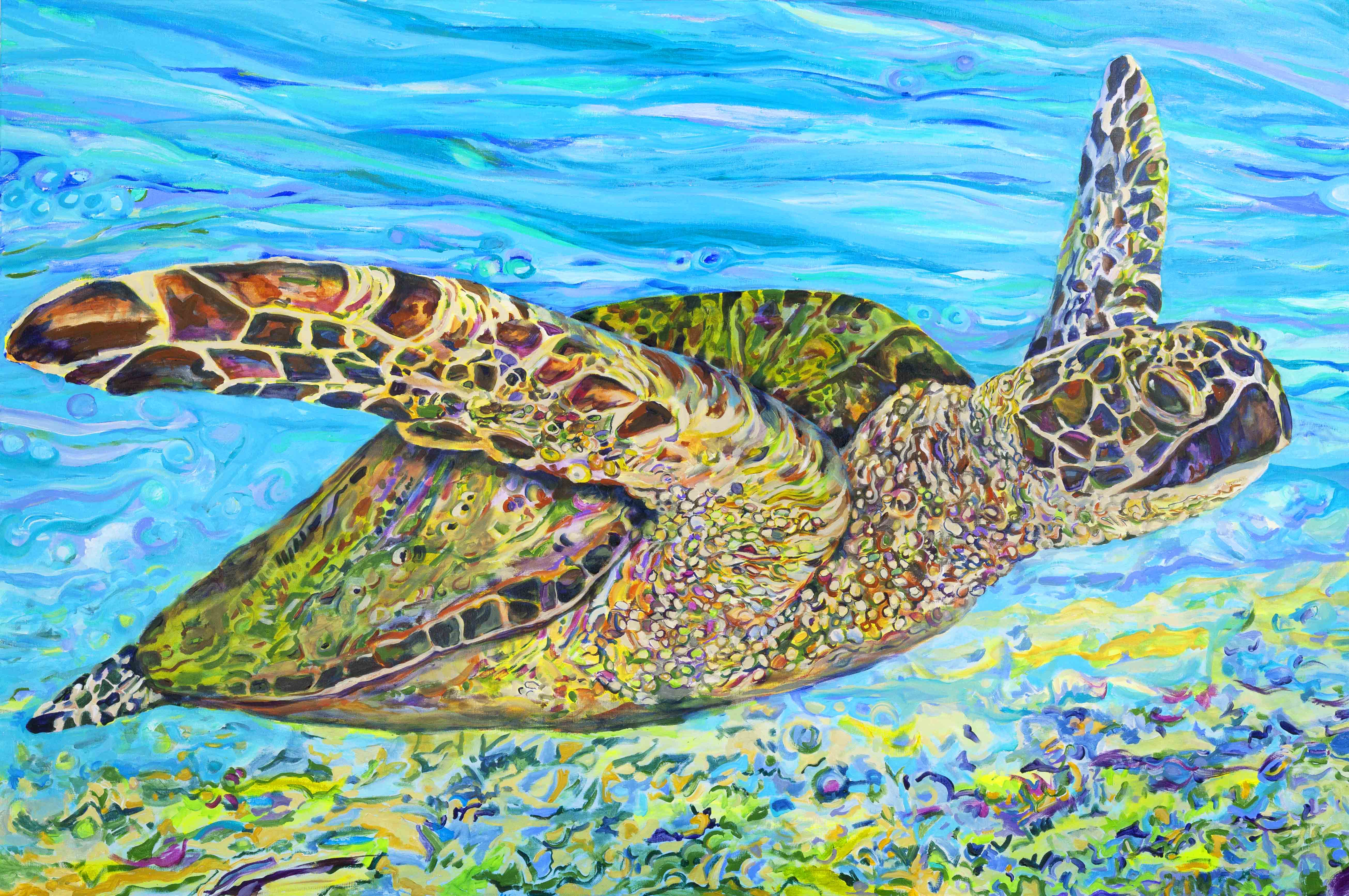 New Turtle - Breezin' By - Lona's Turtle