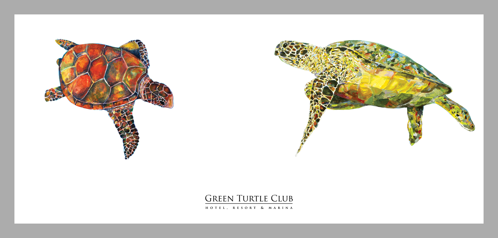 Green Turtle Club - Image 8