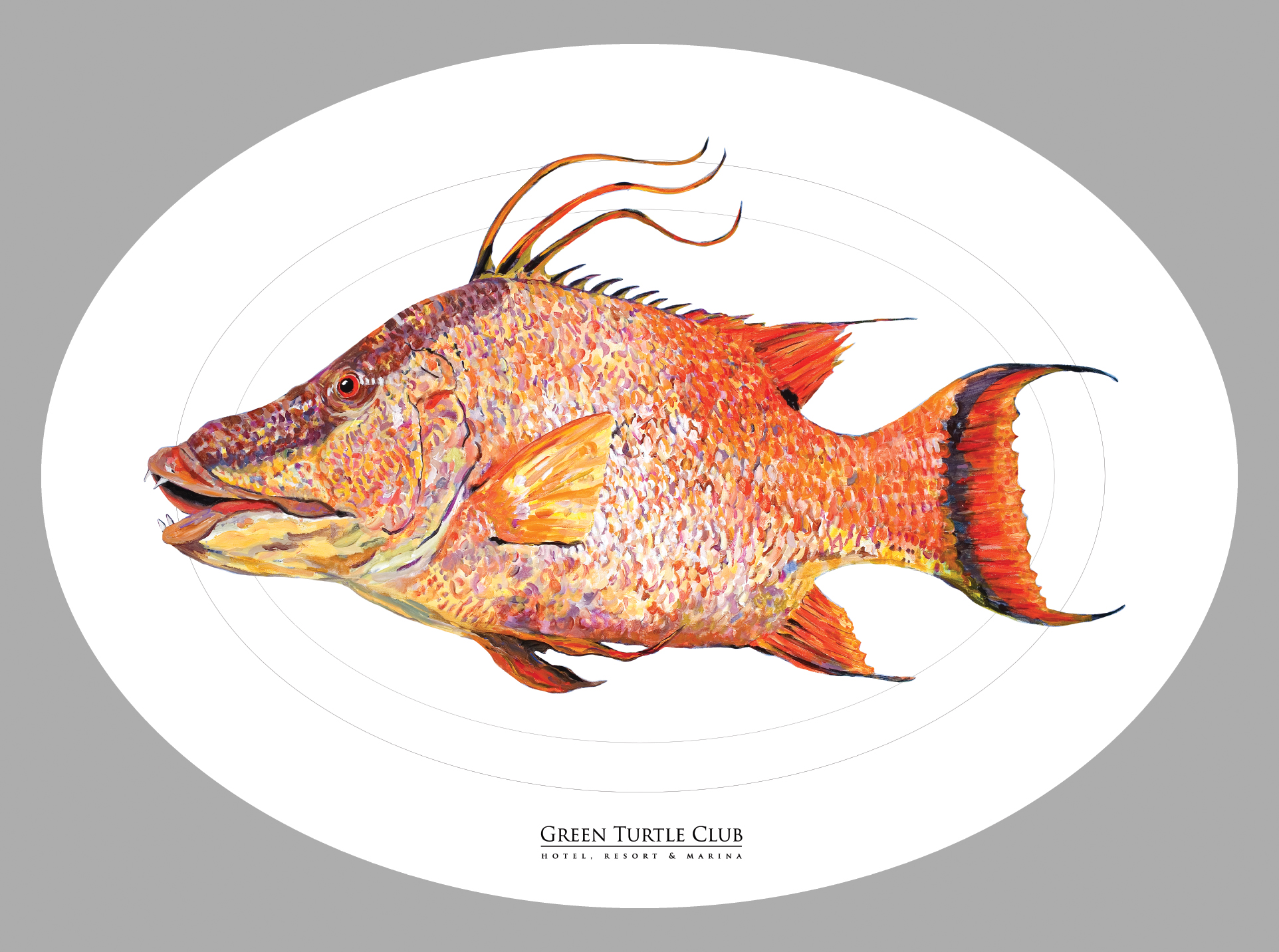 Green Turtle Club - Image 6