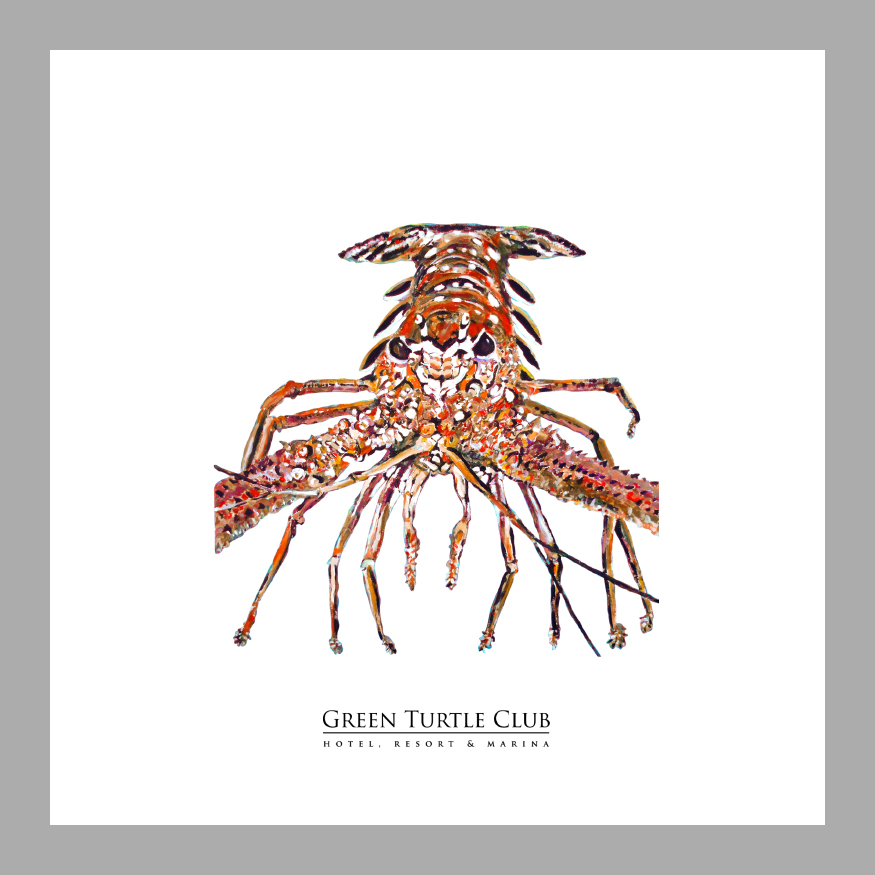 Green Turtle Club - Image 5