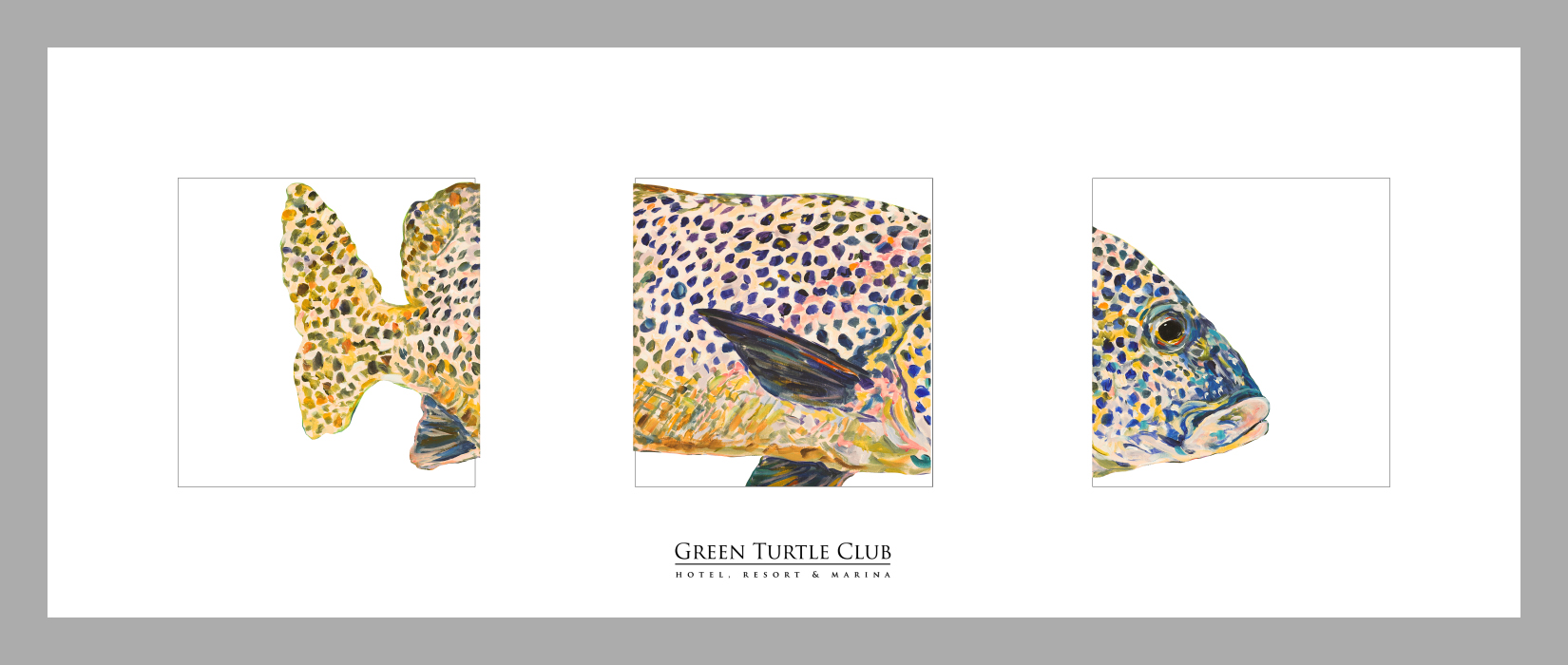 Green Turtle Club - Image 3